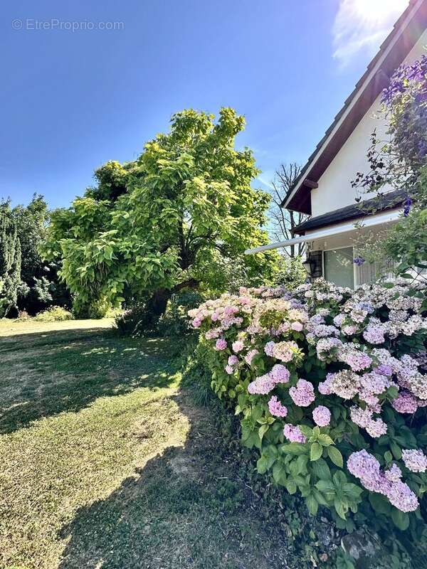 Maison 138 m² à Hochstatt  - photo 2