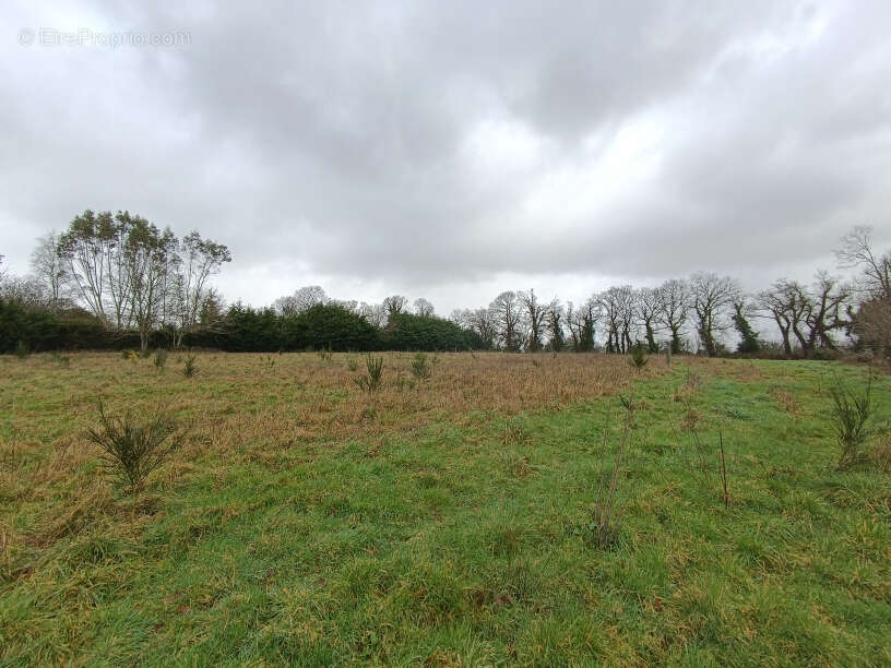 Terrain à PLOUGUERNEVEL