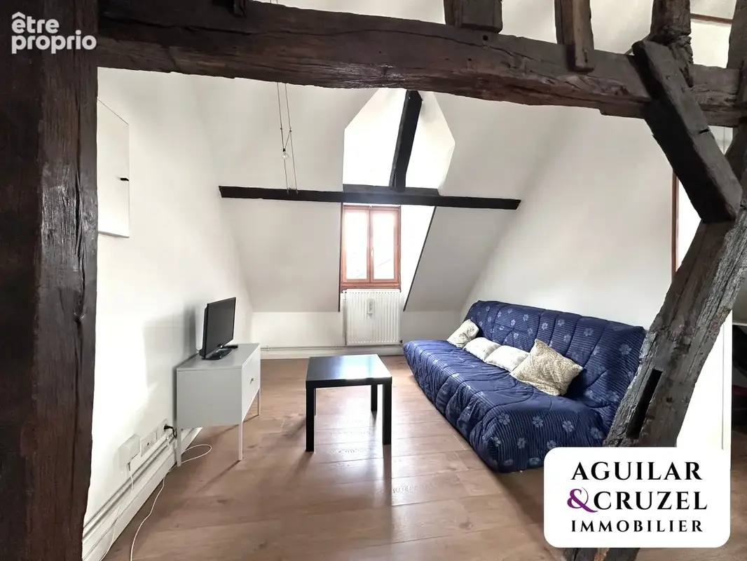 Appartement duplex lumineux - photo 2