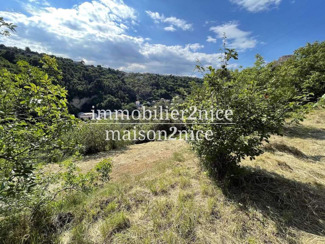 Terrain à NICE