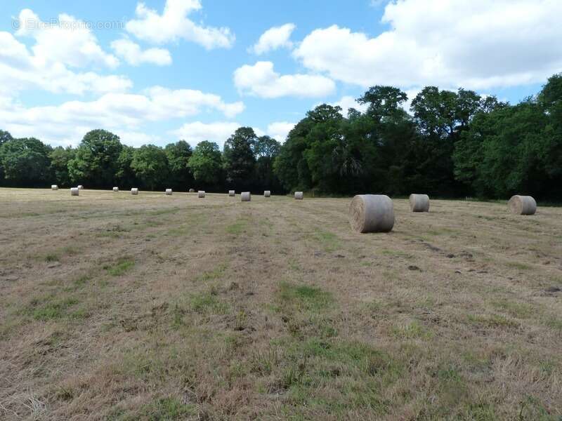 domaine agricole de 70 hectares d’un seul tenant avec bâtiment agricole et hangar - photo 4