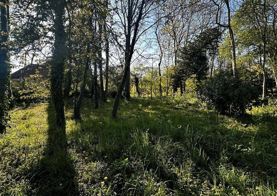 Terrain à LAGNY-SUR-MARNE