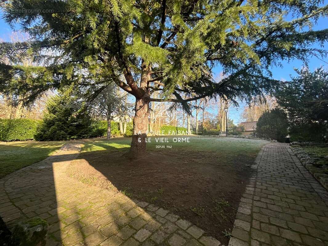 Maison à CONDE-SUR-VESGRE