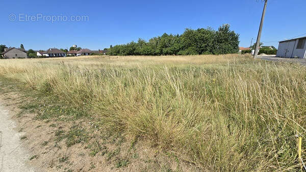 Proche beaugency - photo 3