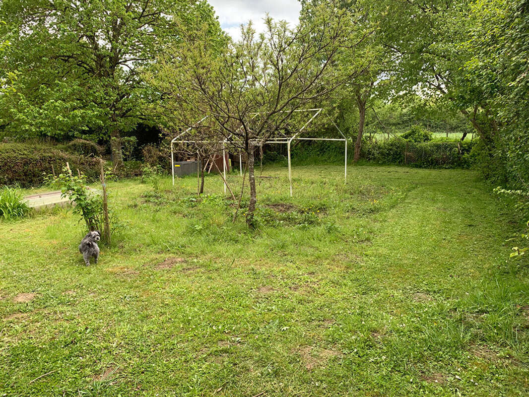 MAISON OIZON - 3 pièce(s) - 75 m2 - photo 6