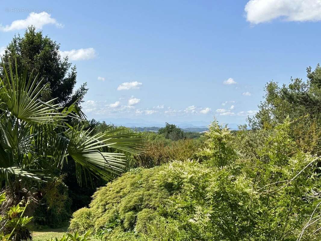 Maison à SALIES-DE-BEARN