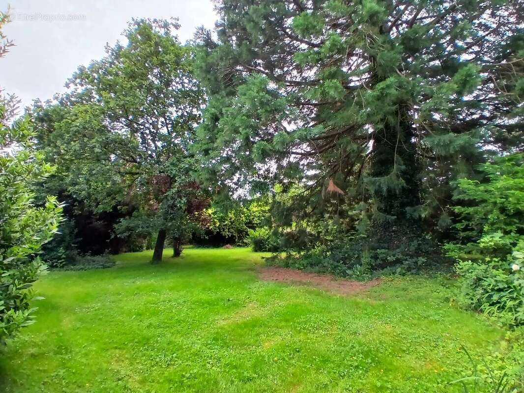 Maison Serquigny - photo 12