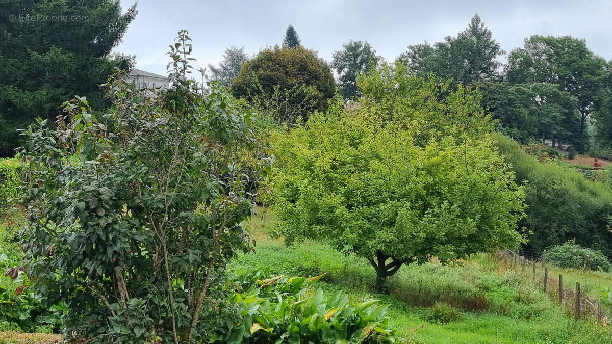 20240829_144137 - Terrain à AUGIGNAC