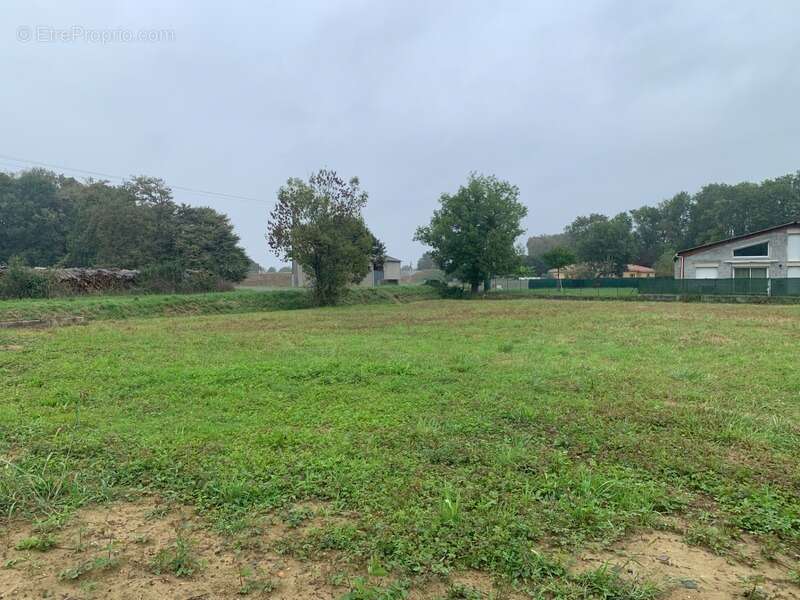 Terrain à SERRES-CASTET