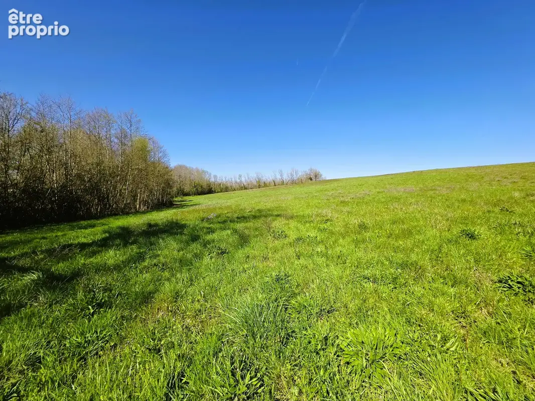 Vente Terrain Agricole Proche Monségur - photo 9