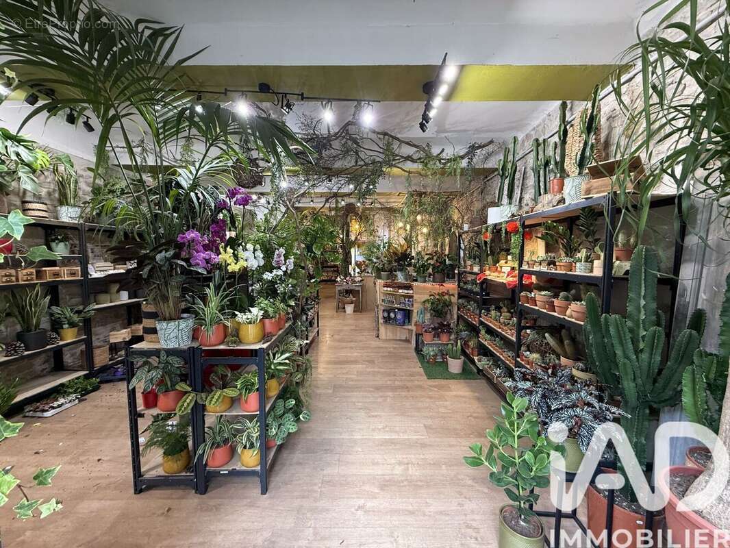 Photo 4 - Commerce à NIMES