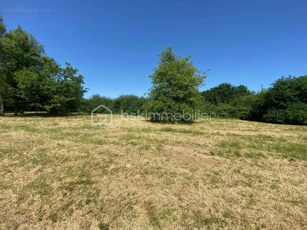 Terrain constructible 1216 m² à AUTHON ( moins de 10 min de CHATEAU-RENAULT ) - photo 6