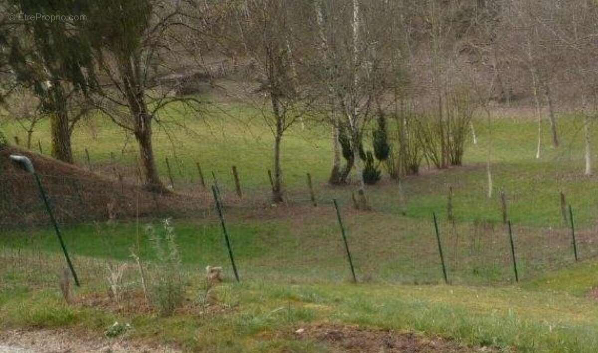 Photo 6 - Maison à COURBOUZON