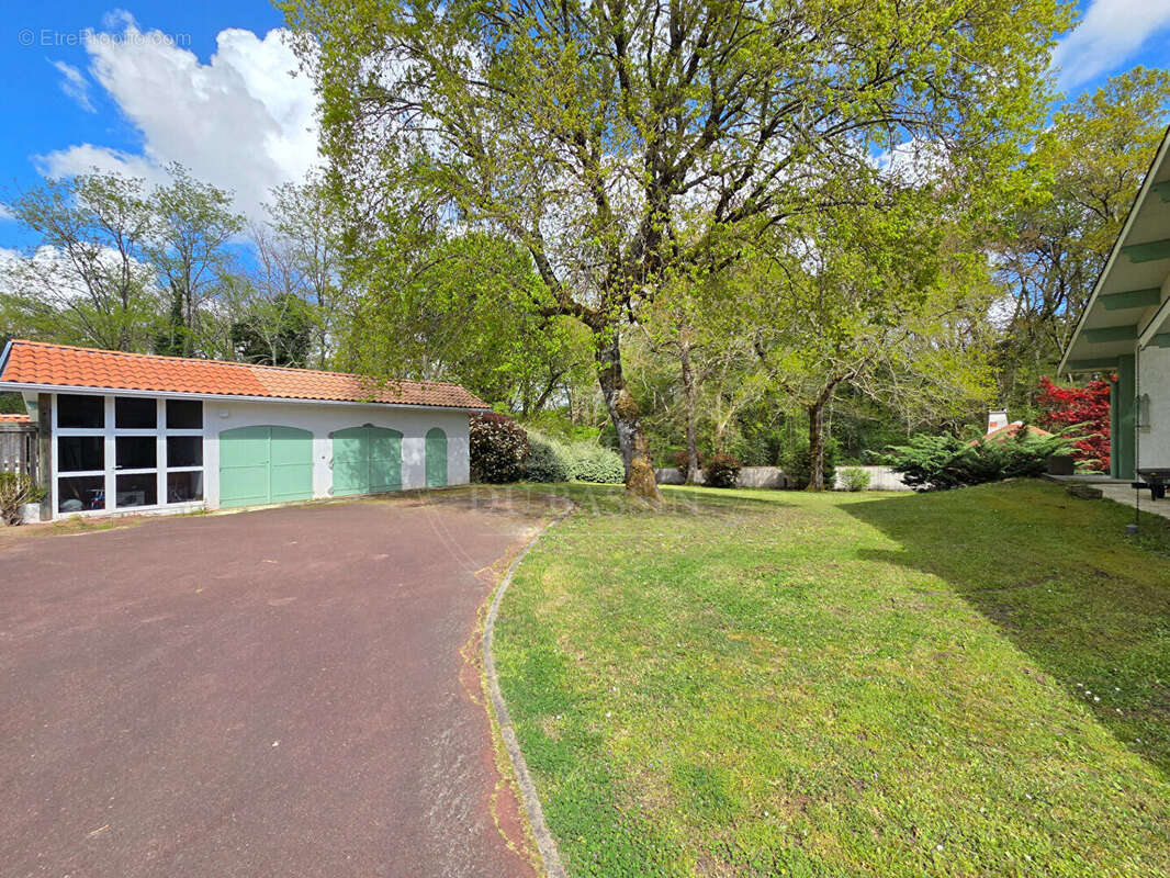 Maison Landaise 210 m² - photo 17