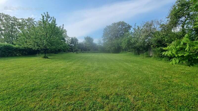 Maison à LA CHAPELLE-AUX-CHASSES
