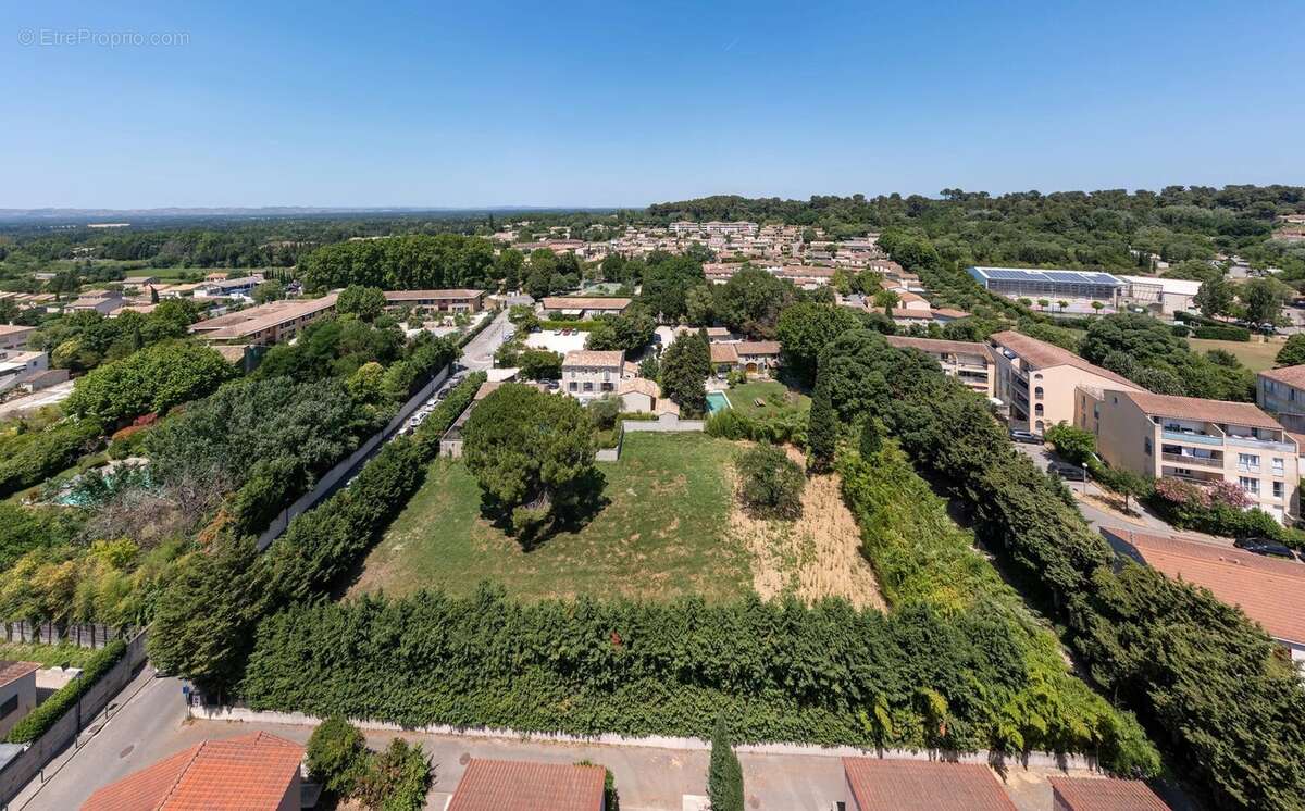 Terrain à SAINT-REMY-DE-PROVENCE