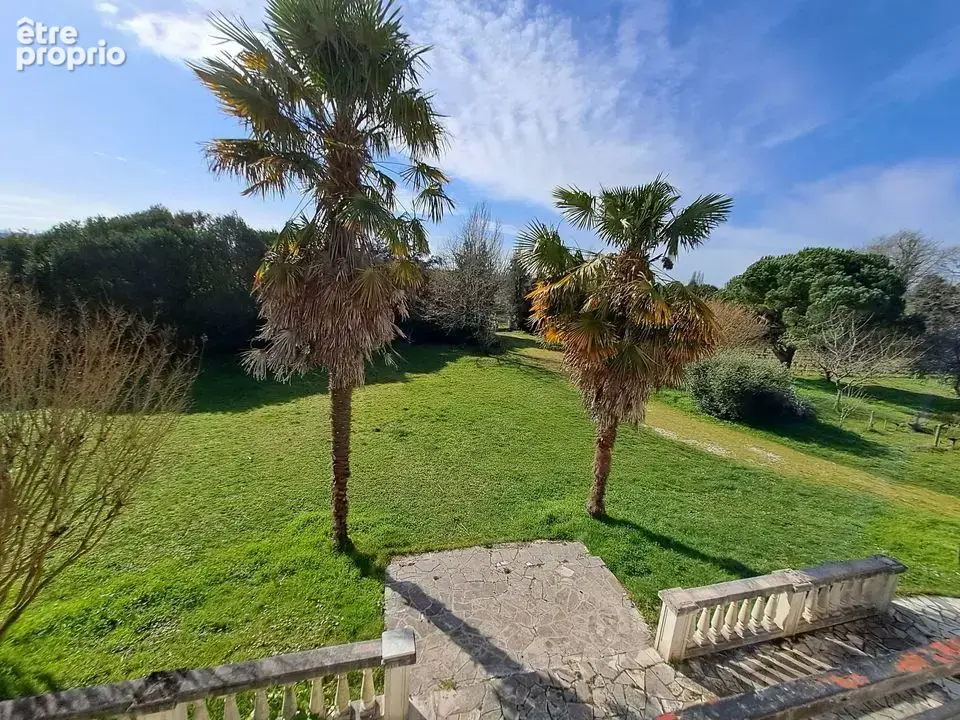 Vertheuil-5 chambres-terrain6854 m2-calme