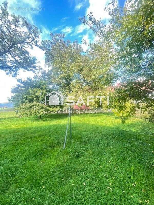 Photo 7 - Maison à OSTHEIM