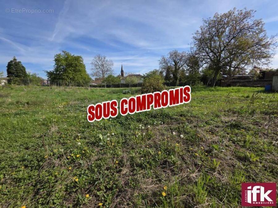 Terrain à HORBOURG-WIHR