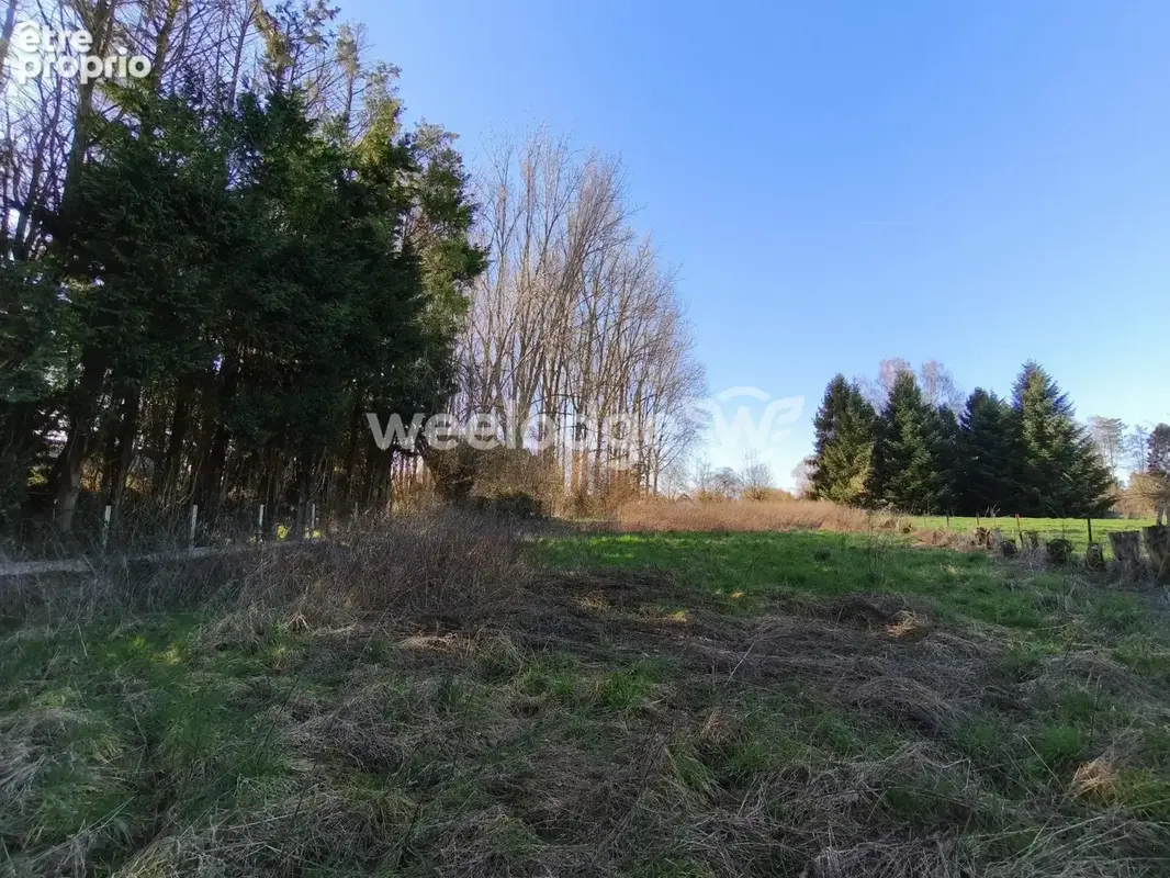 Maison 7 pièces 136 m² à vendre à Elesmes (59600) - photo 4