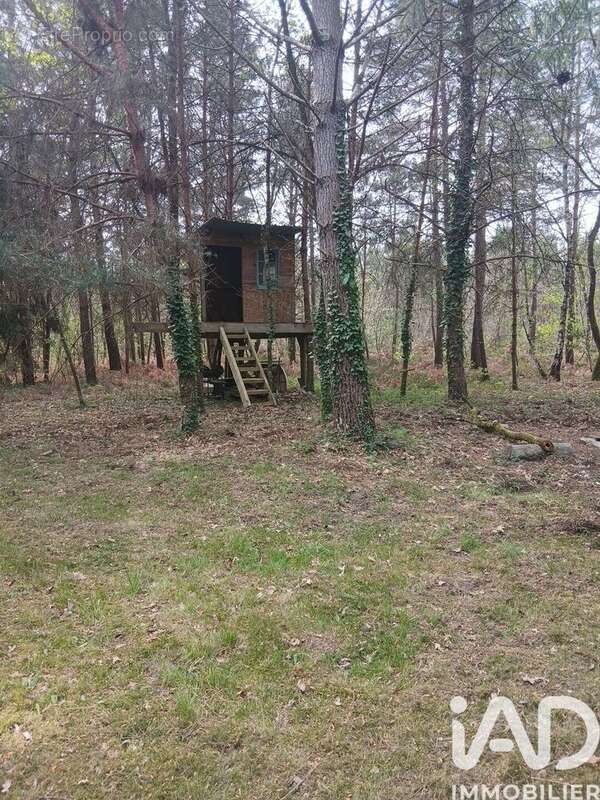 Photo 4 - Terrain à BAUGE