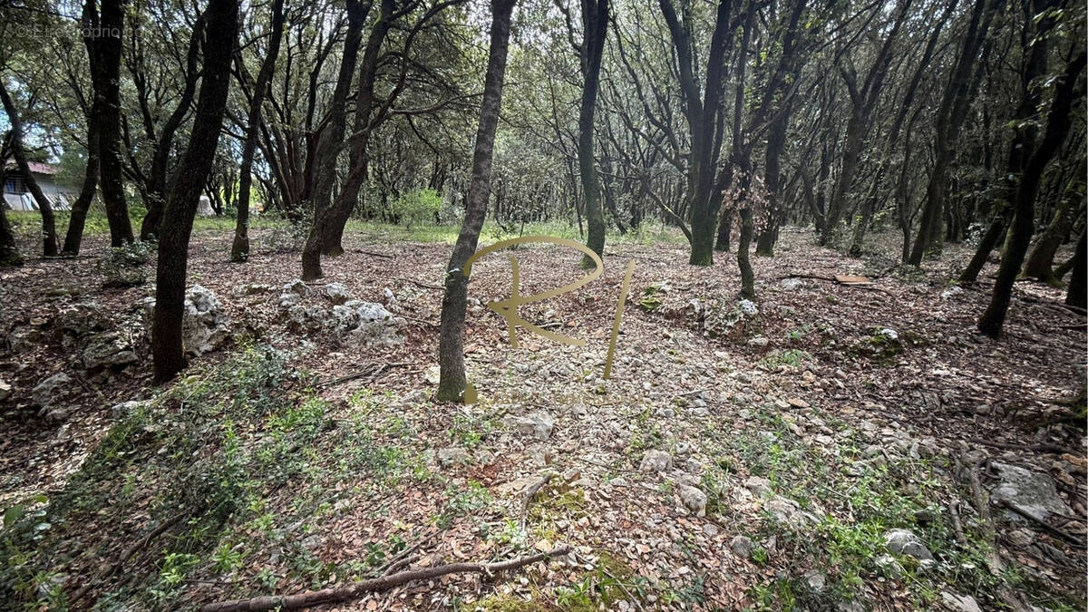 Terrain à ORGNAC-L'AVEN