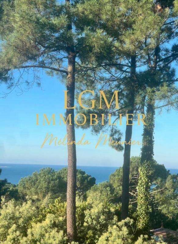 Maison à LA TESTE-DE-BUCH