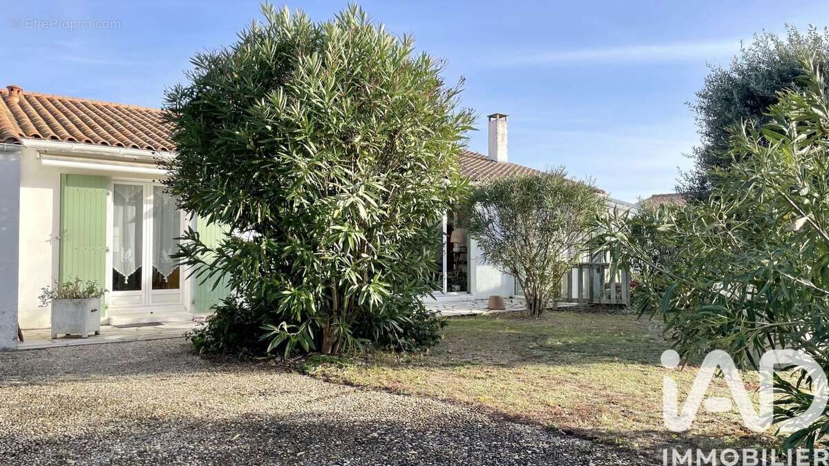 Photo 2 - Maison à LOIX