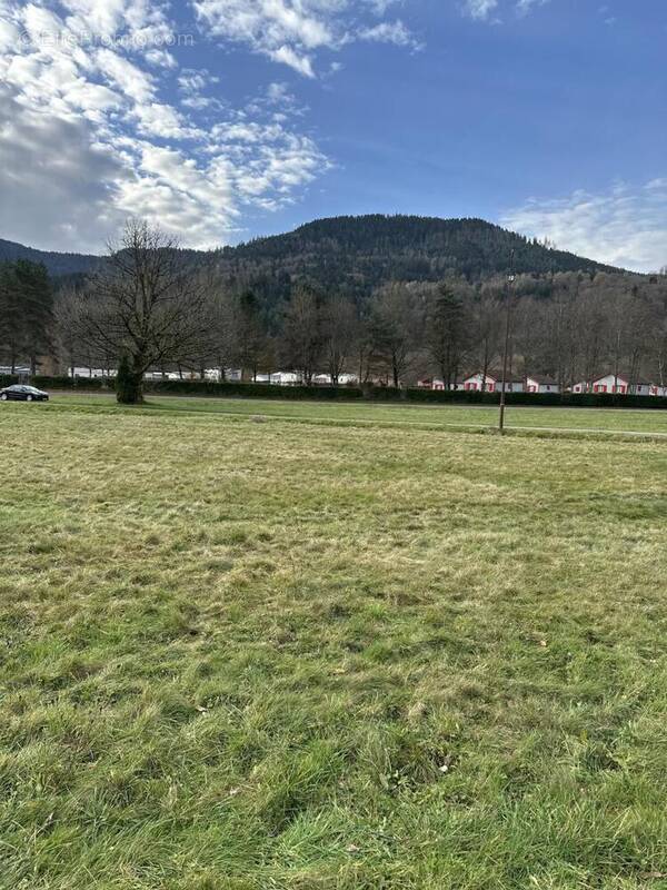 IMG_7707 - Terrain à SAULXURES-SUR-MOSELOTTE