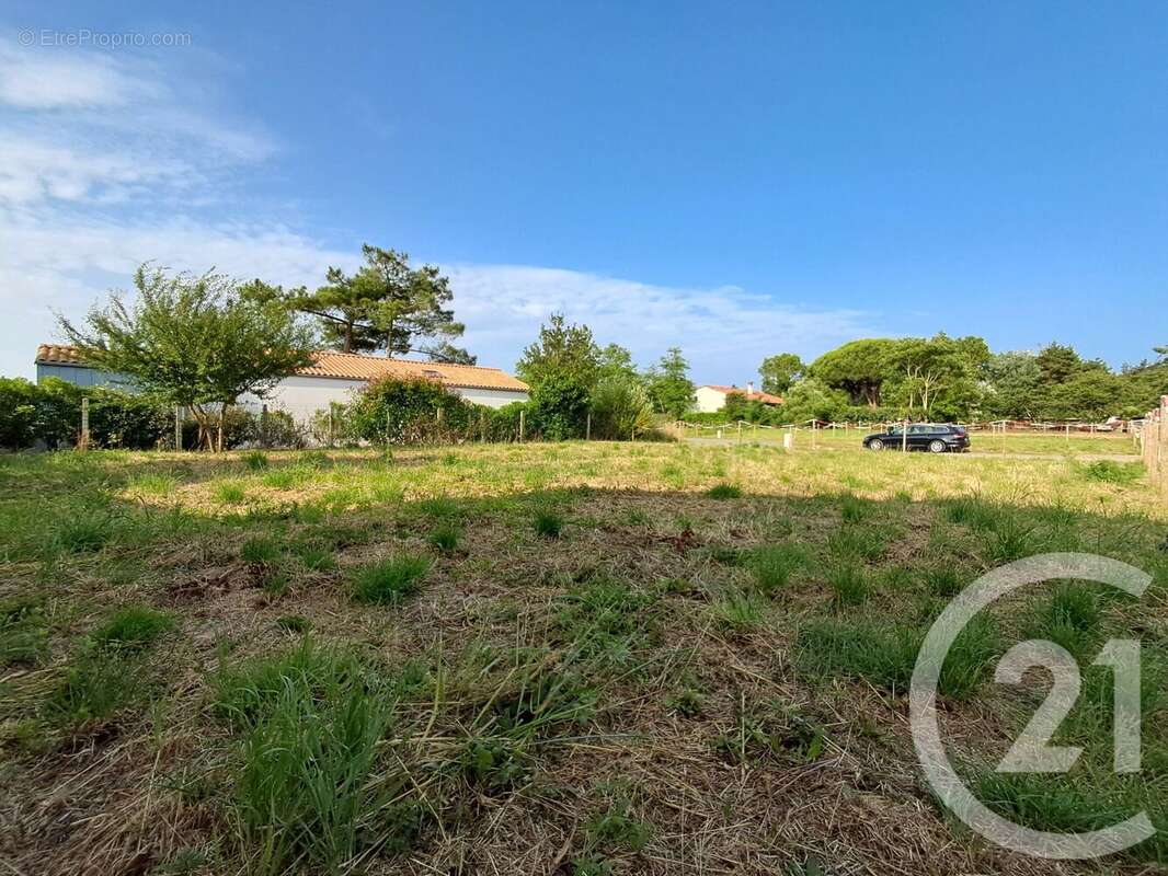 Terrain à TALMONT-SAINT-HILAIRE