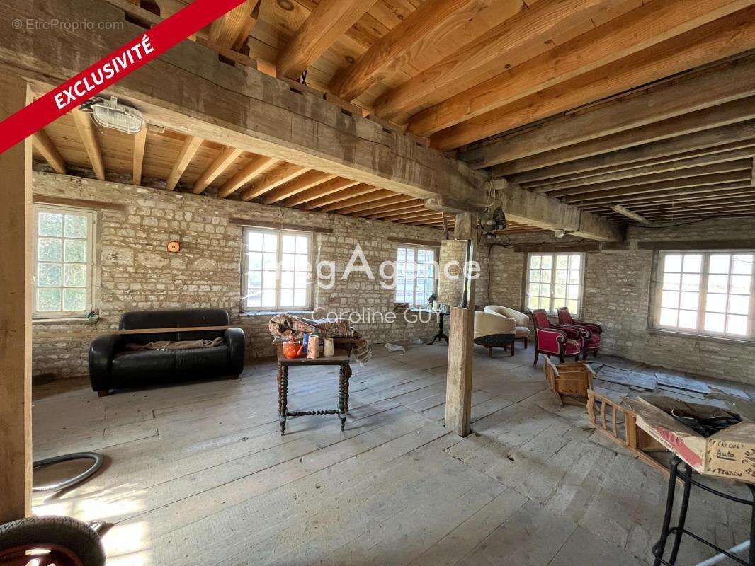 Maison de maître, 267 m2, 5 chambres, jardin et garages - photo 5