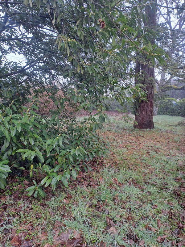 Terrain à GREZ-SUR-LOING