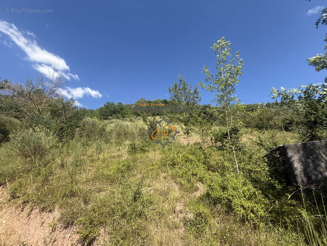 Vente remise avec  2,45 hectares de terrains Versols-et-Lapeyre - photo 7
