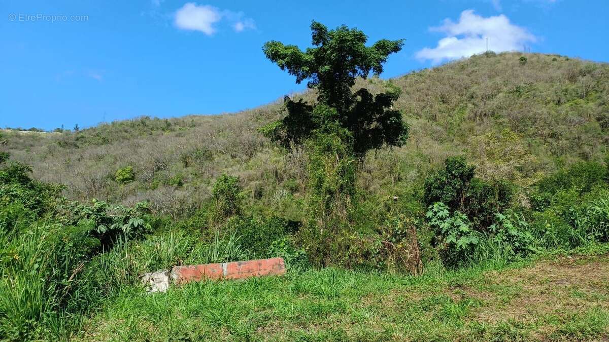 Terrain à BELLEFONTAINE