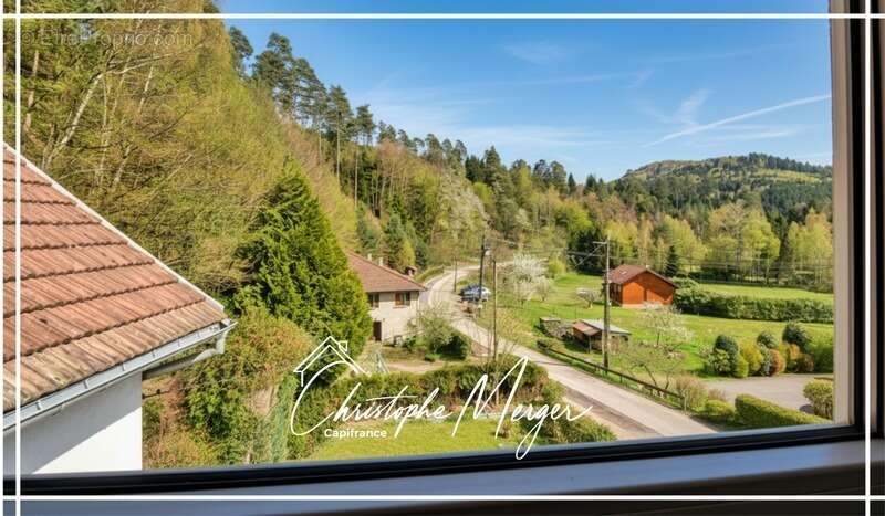 Gîte à vendre 9 chambre à ABRESCHVILLER (57), avec piscine, spa et jacuzzi - photo 11