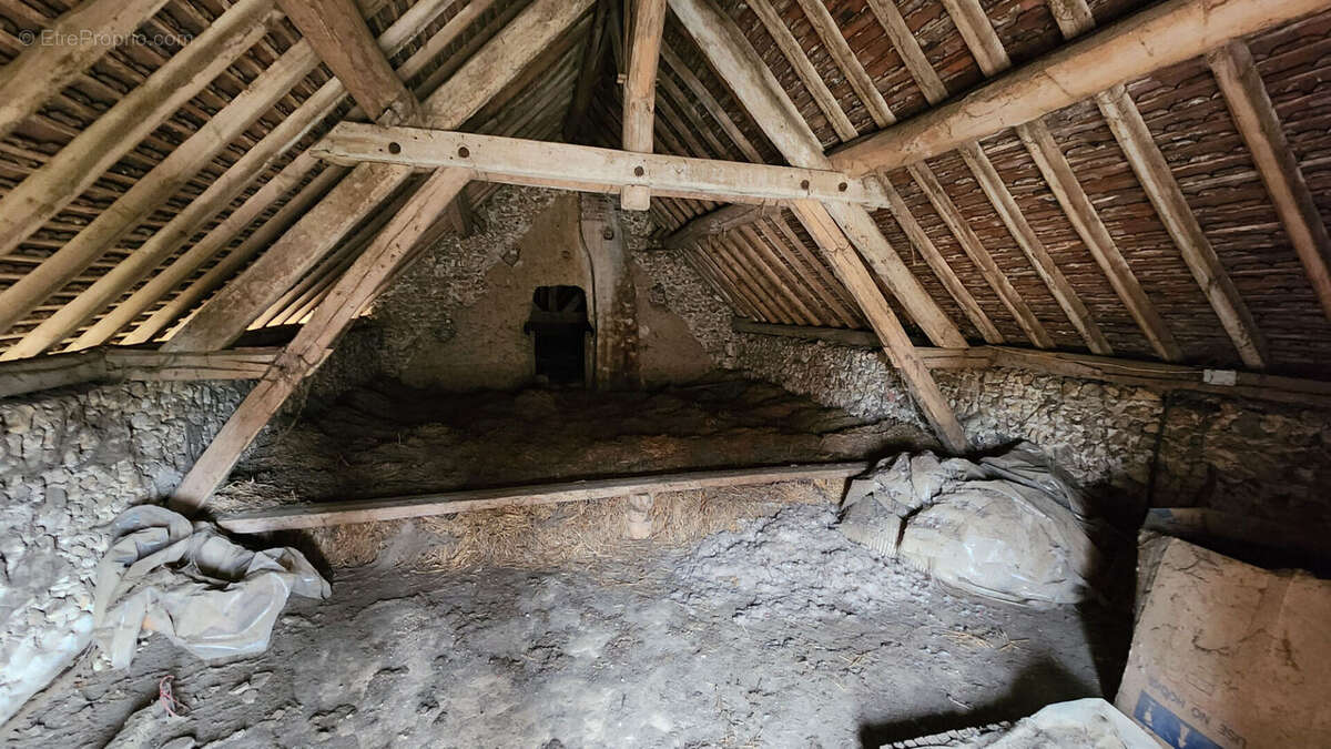 10 min agence corps de ferme avec grange sur 10500m² - photo 14