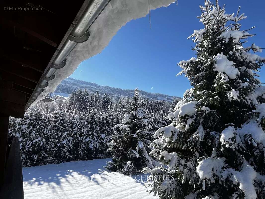 Appartement à vendre T2 - Praz sur ARLY - photo 6