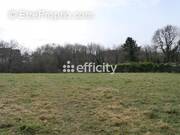 Terrain à SAINTE-GENEVIEVE