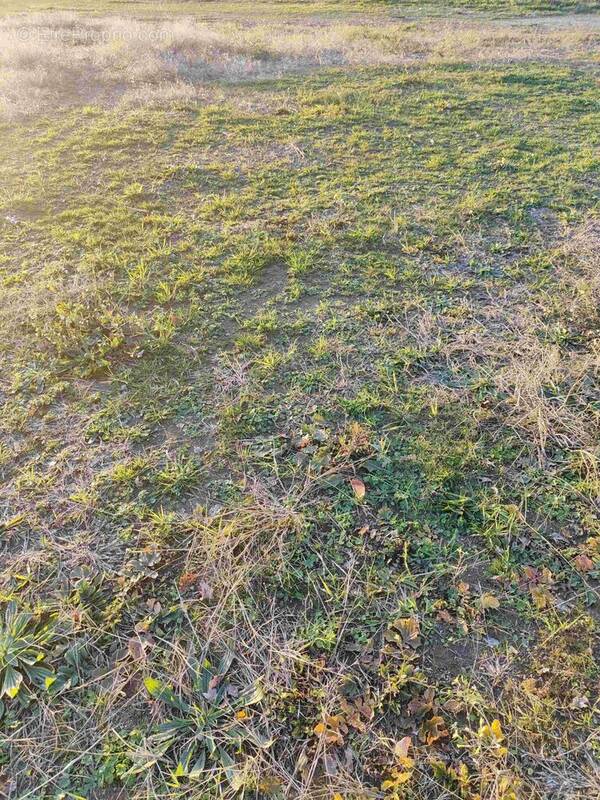 Terrain à SAINT-MICHEL-CHEF-CHEF