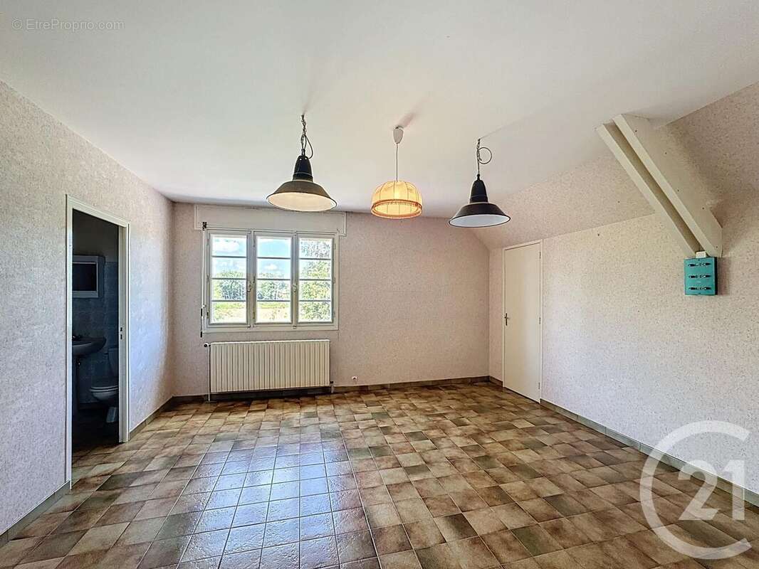 Maison 190 m² à La Ferte-Saint-Aubin  - photo 10