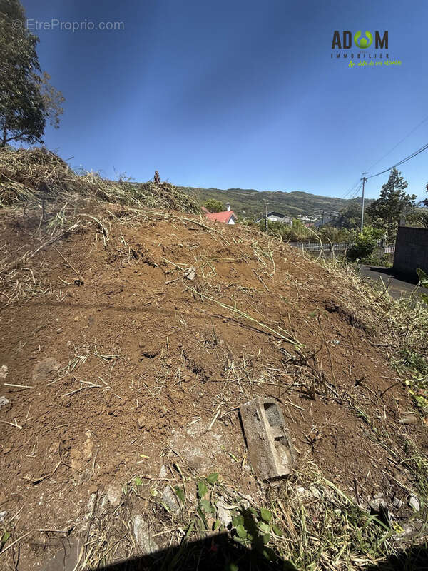 Terrain à SAINT-LEU