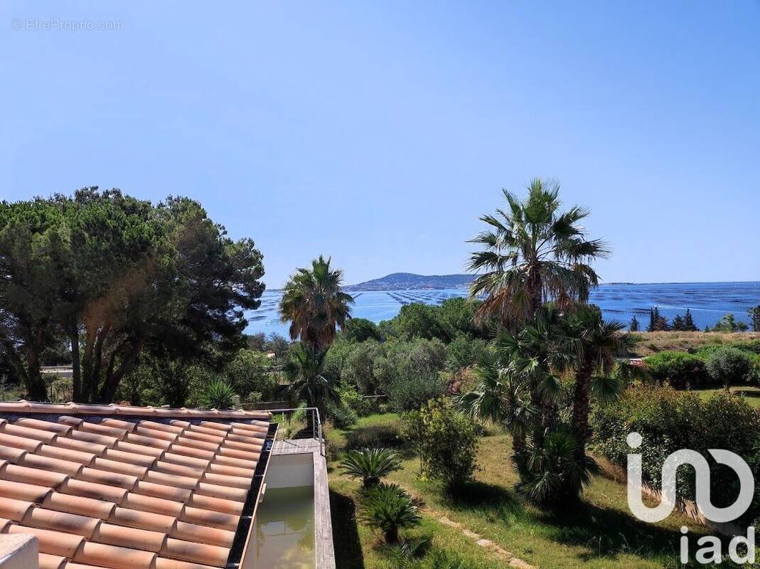 Photo 1 - Maison à BOUZIGUES