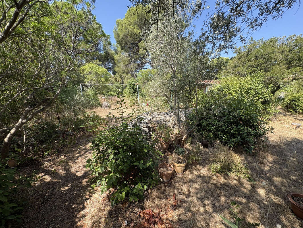 Maison 6 pièces, 4 chambres, Vue dégagée - Toulon Ouest Les Arènes - photo 19