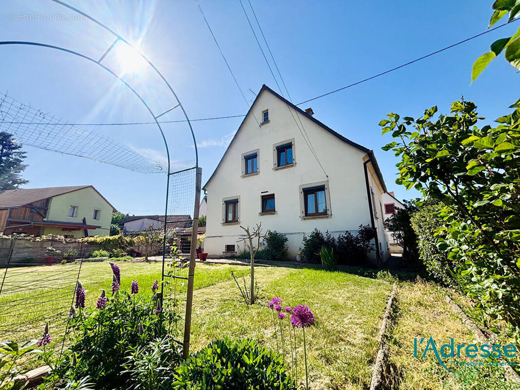 Maison à OSTHEIM