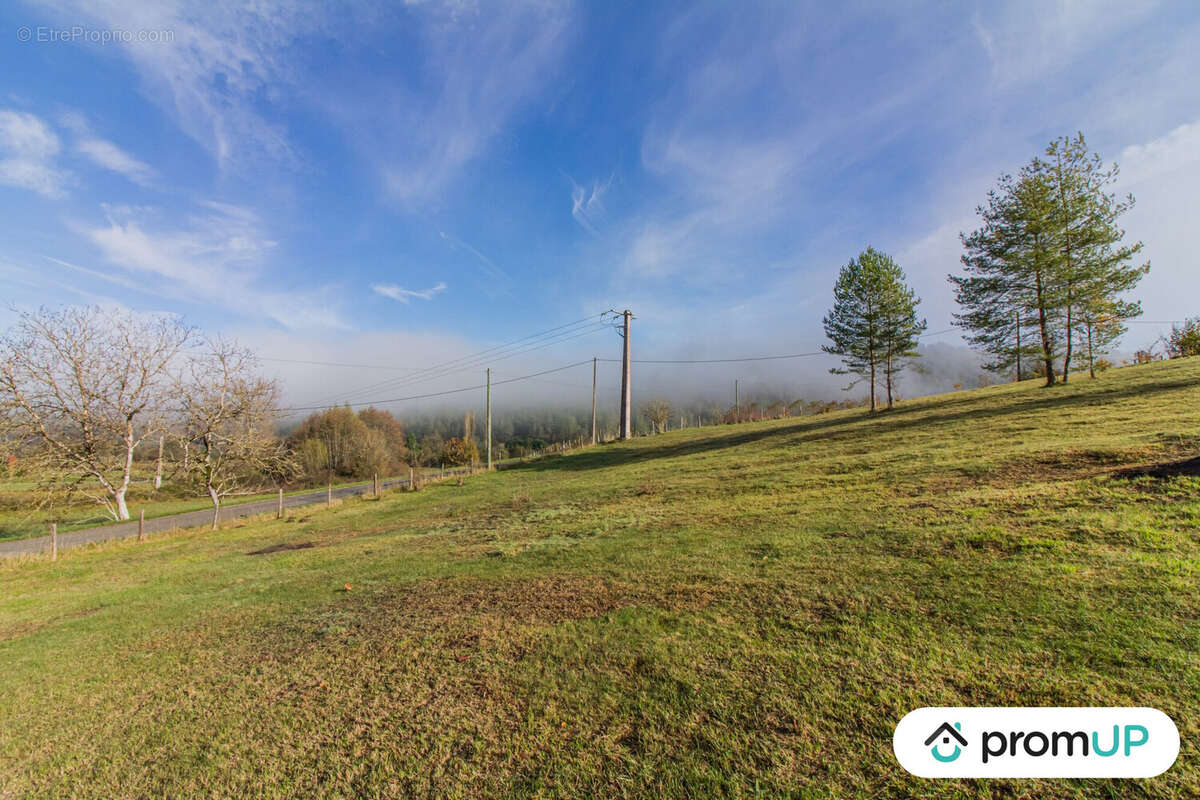 Terrain à SAINTE-FOY-DE-BELVES