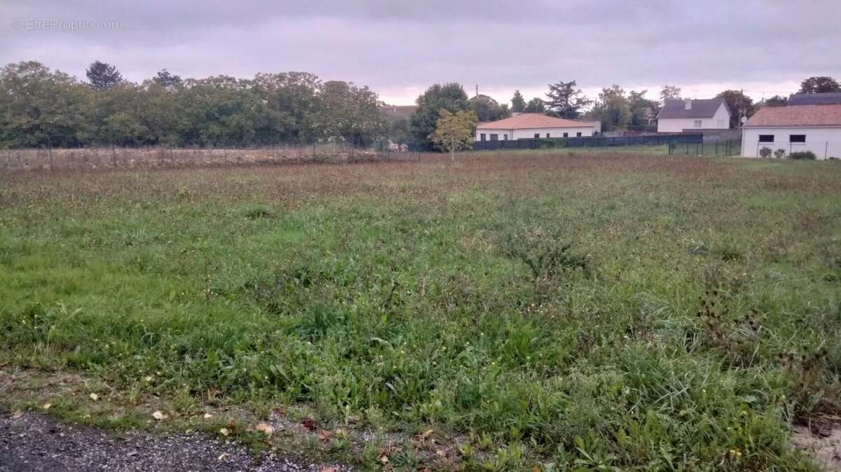 Terrain à NEUVILLE-DE-POITOU