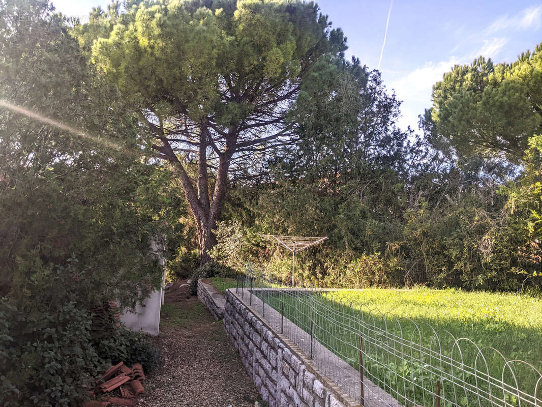 Belle Maison D'architecte de Caractère, 220m2 à vendre à Castelnau le lez sur 2200 m2 de terrain. - photo 24