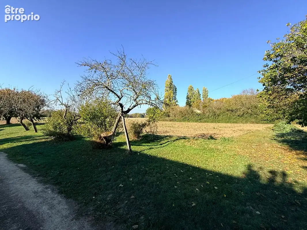 Maison avec dépendances et grand terrain - photo 2