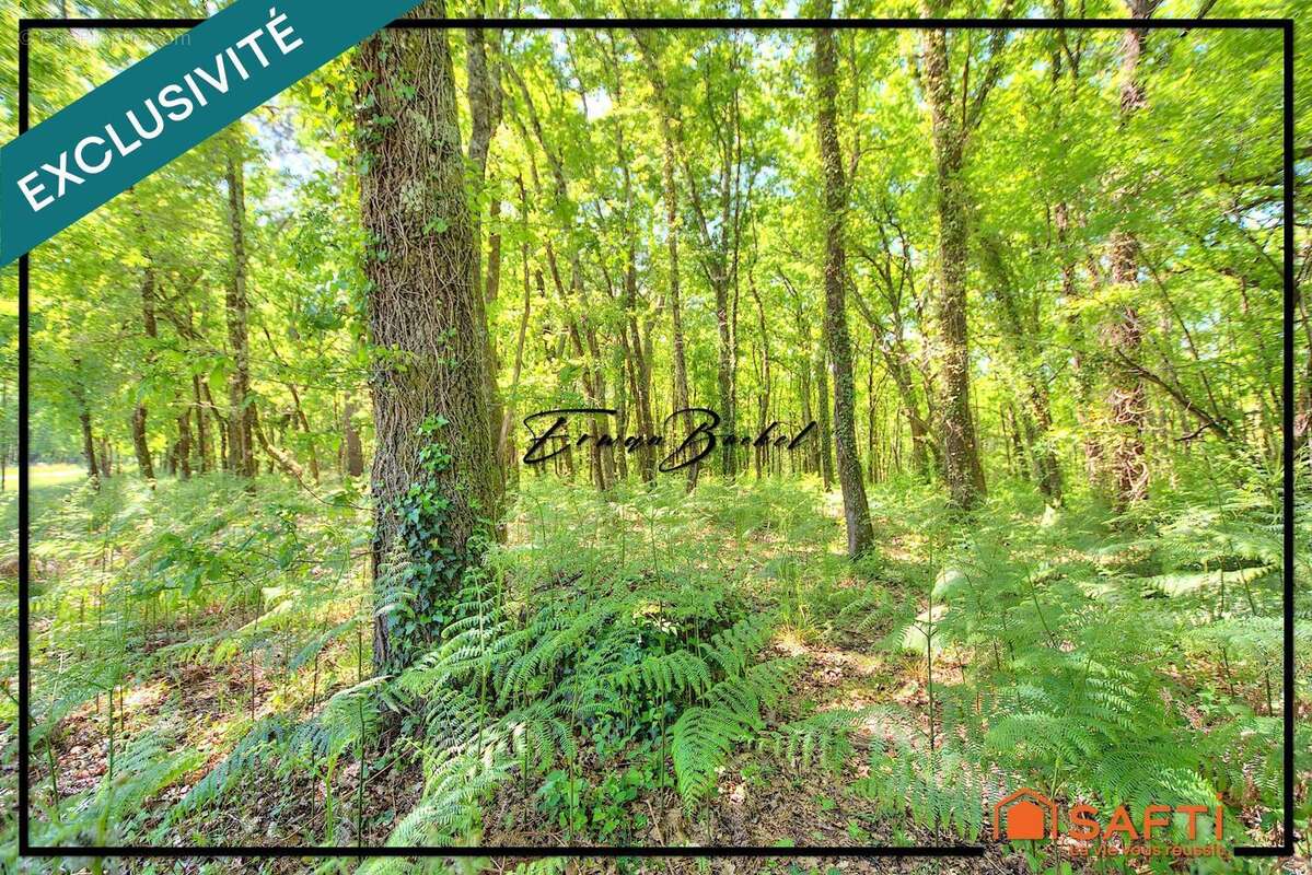 Photo 7 - Maison à SAINT-PAUL