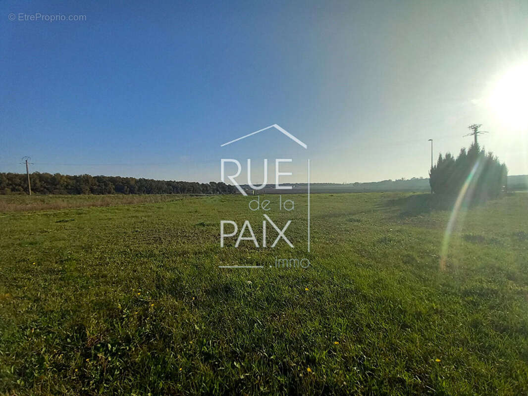 Terrain à MESSEME